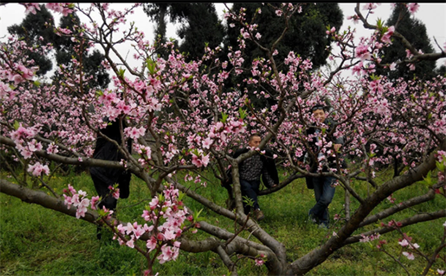 【互動(dòng)家園】不惑之年如一夢(mèng)，白駒相逢近十八